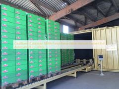 カリフラワー/キャベツ食用の菌類の保存の真空のクーラー フル オートマチックPLC制御